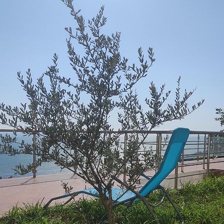 Apartment Oliva Ulcinj Exterior photo